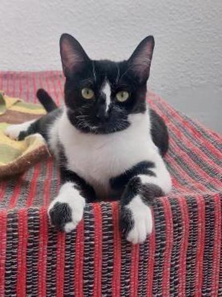 Lustige Penny bei München (ALO)