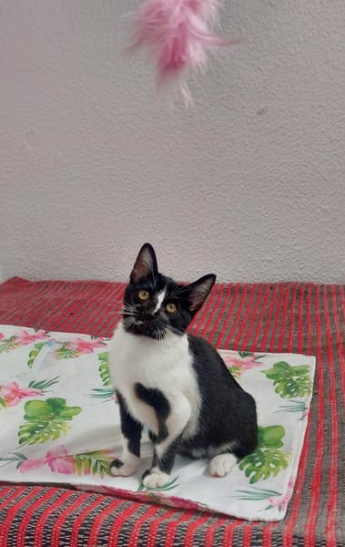 Lustige Penny bei München (ALO)