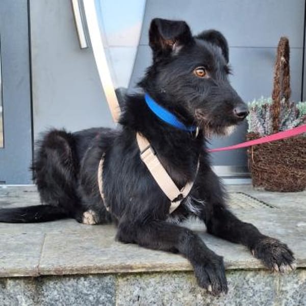 Maddy ❤ bezaubernde schwarze Schönheit