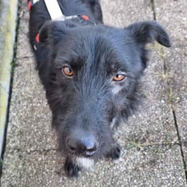 Maddy ❤ bezaubernde schwarze Schönheit