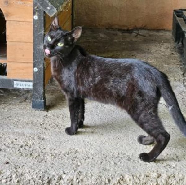 Beltzi sucht sein Glück bei Dir