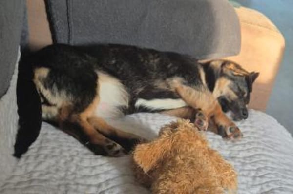 Elke 💗 wartet in 45259 Essen