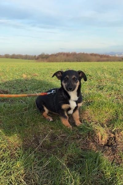 Elke 💗 wartet in 45259 Essen