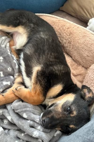 Elke 💗 wartet in 45259 Essen