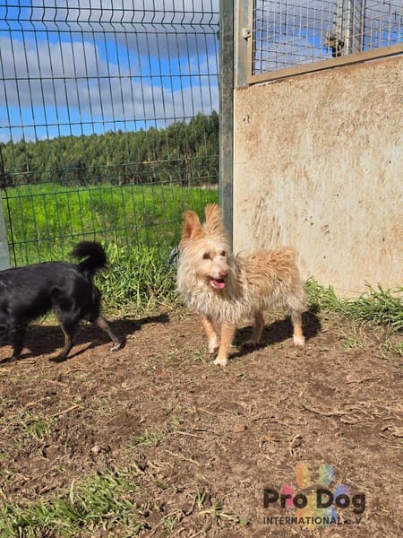 Mayim auf Pflegestelle