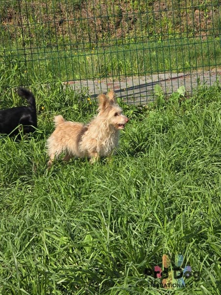 Mayim auf Pflegestelle