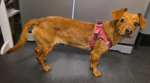 FINI - UNSER KLEINER WIRBELWIND