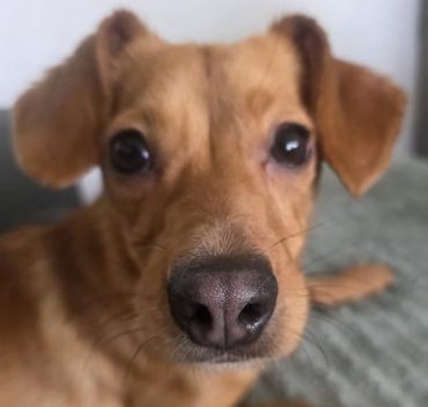 FINI - UNSER KLEINER WIRBELWIND