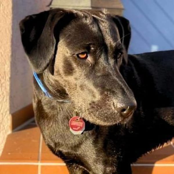 Lucy - ist kinderlieb