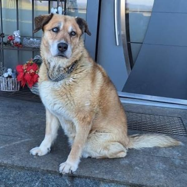 Mara ❤ Seniorin mit den schönsten Augen