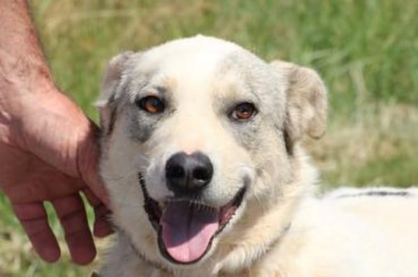 Omina - kinderlieb u. zutraulich