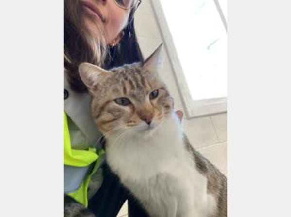 Gildo und Pink - eine Tierheimliebe