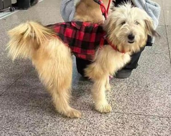 Quirlige Flitzpiepe Paula