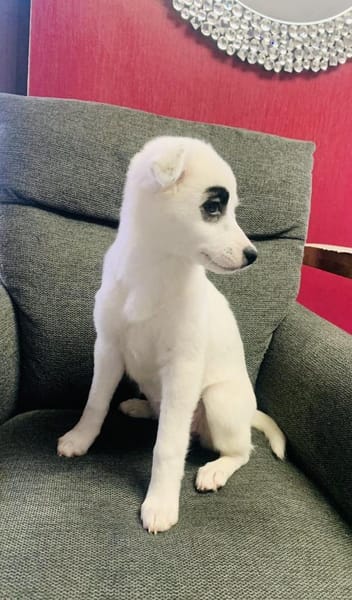 Zara ein tolles Mädchen