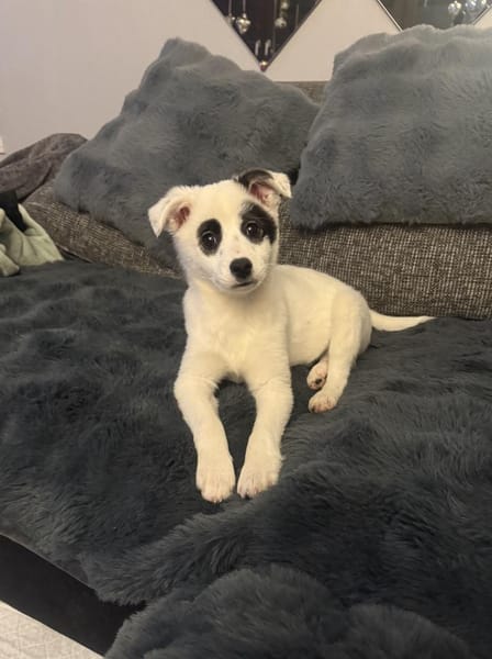 Zara ein tolles Mädchen