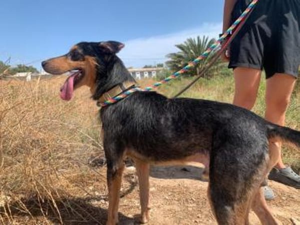 Ario - freundlich und menschenbezogen