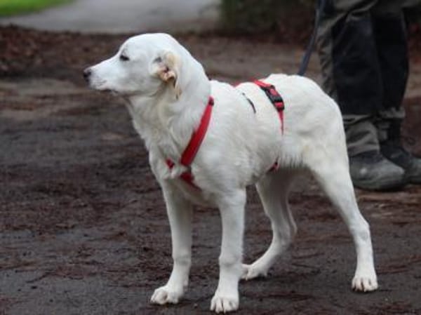 Tabu sucht ihre Familie