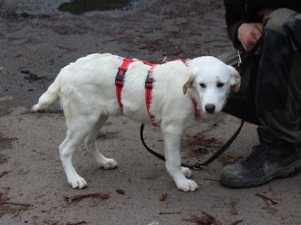 Tabu sucht ihre Familie