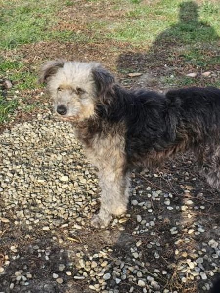 Ana sucht Ihre Menschen!