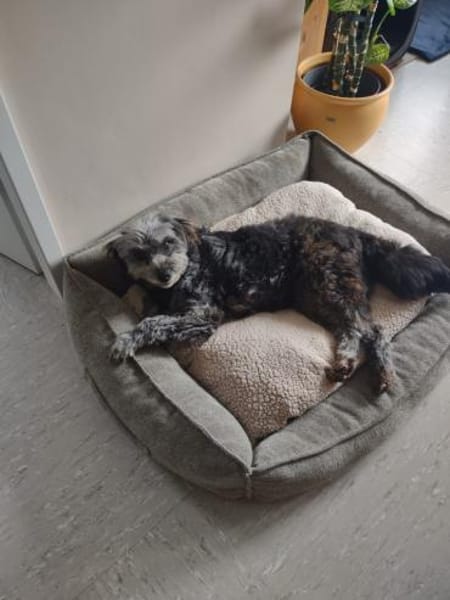 Ana sucht Ihre Menschen!