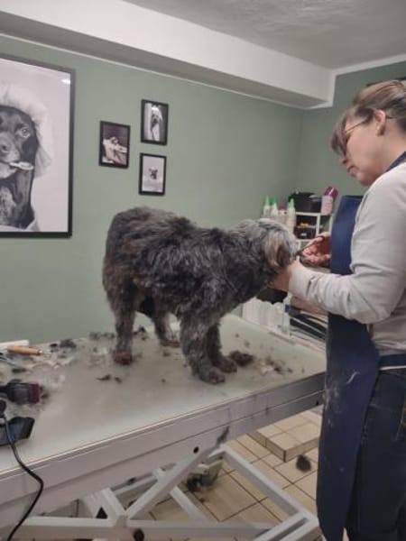 Ana sucht Ihre Menschen!