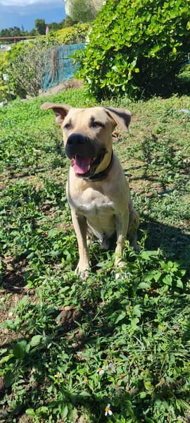 Rio j'ai hâte de vous connaître