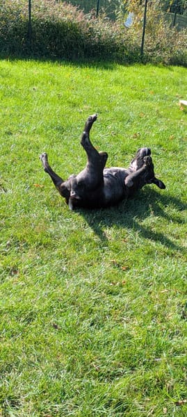 Paty, votre meilleure amie vous attend en Normandie