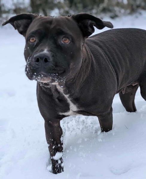 Paty, votre meilleure amie vous attend en Normandie