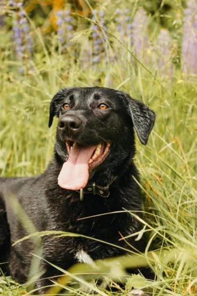 In Melle kannst du tollen Yarik kennenle