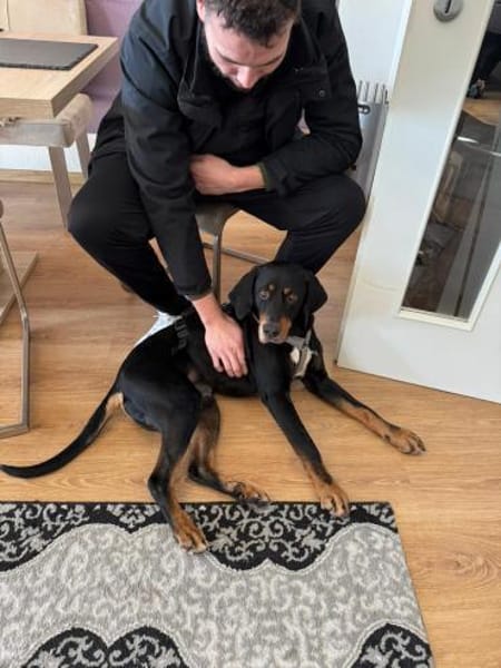 RICCO mit Herz und Charakter