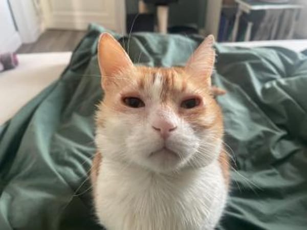 Unsere zarte und verkuschelte Maya