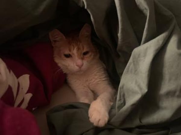 Unsere zarte und verkuschelte Maya