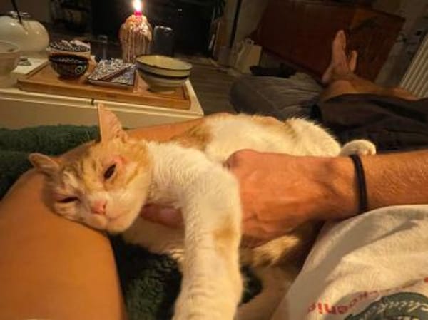 Unsere zarte und verkuschelte Maya