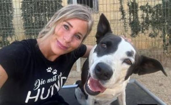 Oca  treue Schmusehündin mit großem Her