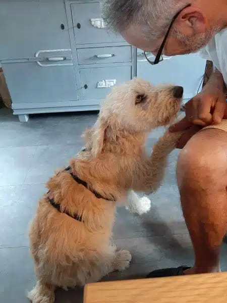 SKIP * mag mit Wohnmobil in die Natur <3