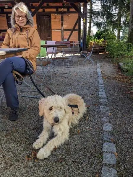 SKIP * mag mit Wohnmobil in die Natur <3