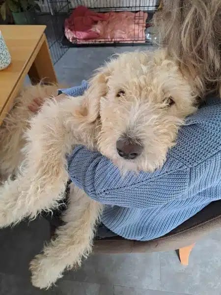 SKIP * mag mit Wohnmobil in die Natur <3