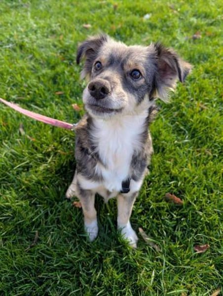 Ilay - bereit für sein Für-Immer-Zuhause