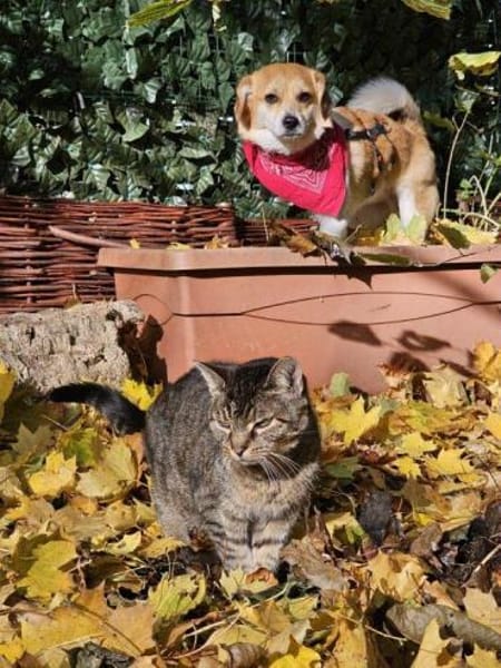 lieber Noki auf PS in 14513