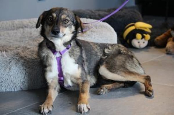 Tania unsere kleine sensible...