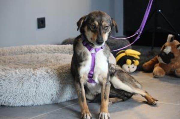 Tania unsere kleine sensible...