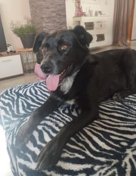 ANDRA * sucht enge Bezugsperson