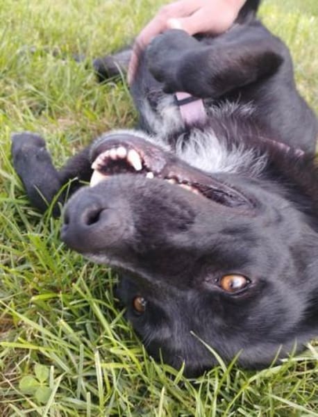 ANDRA * sucht enge Bezugsperson