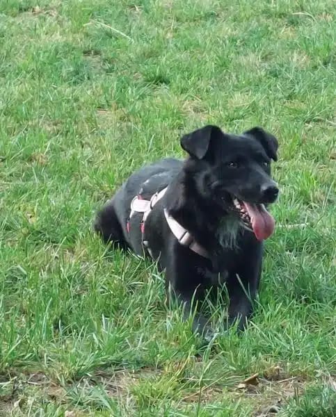 ANDRA * sucht enge Bezugsperson