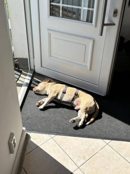 ARKON -Sonnengenießer mit Charakter-