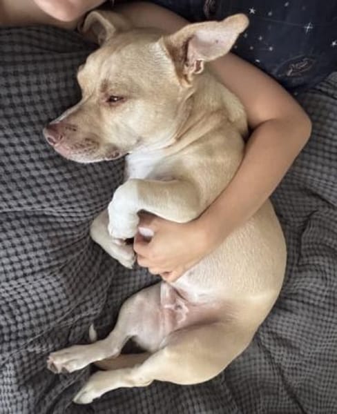 ARKON -Sonnengenießer mit Charakter-