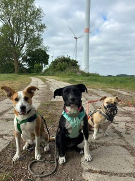 ARKON -Sonnengenießer mit Charakter-