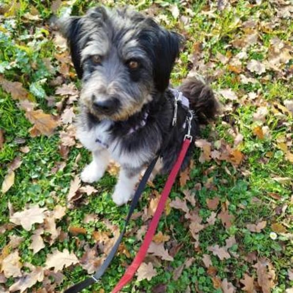 Hübsche Rosi auf PS in 91459