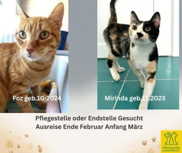 Pflegestelle oder Endstelle gesucht