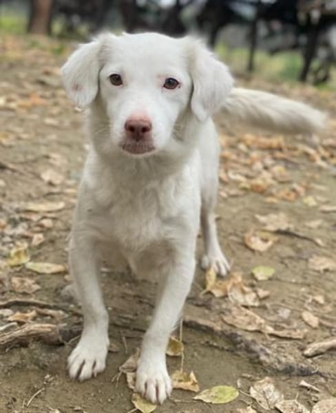 Holiday, geb. ca. 07/2024, 24114 Kiel